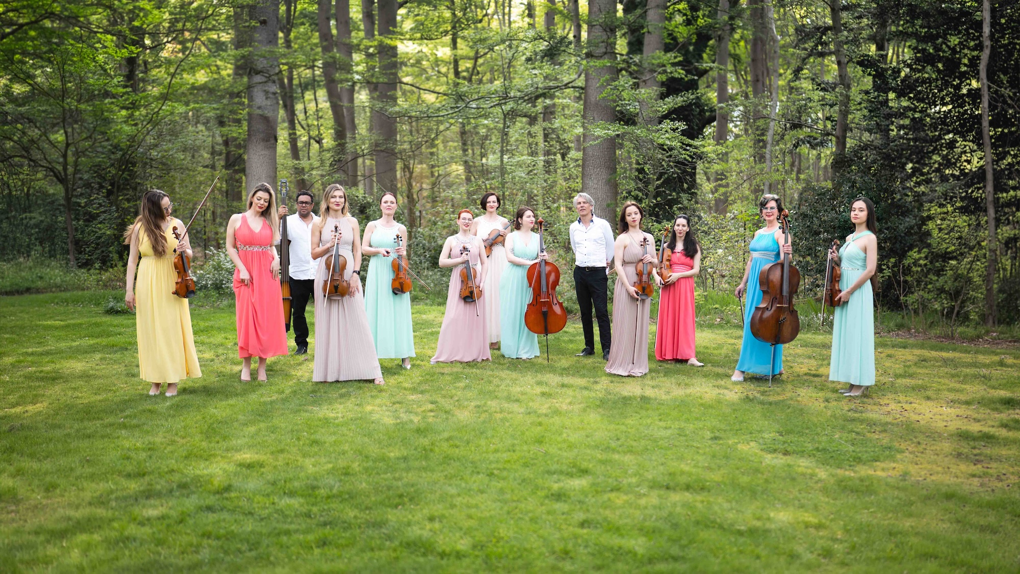 Scarlett's string society